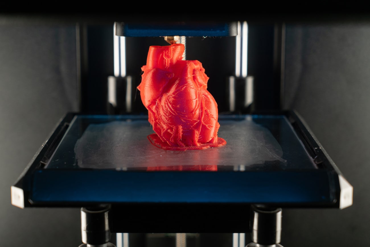 Stampa cuore in 3d