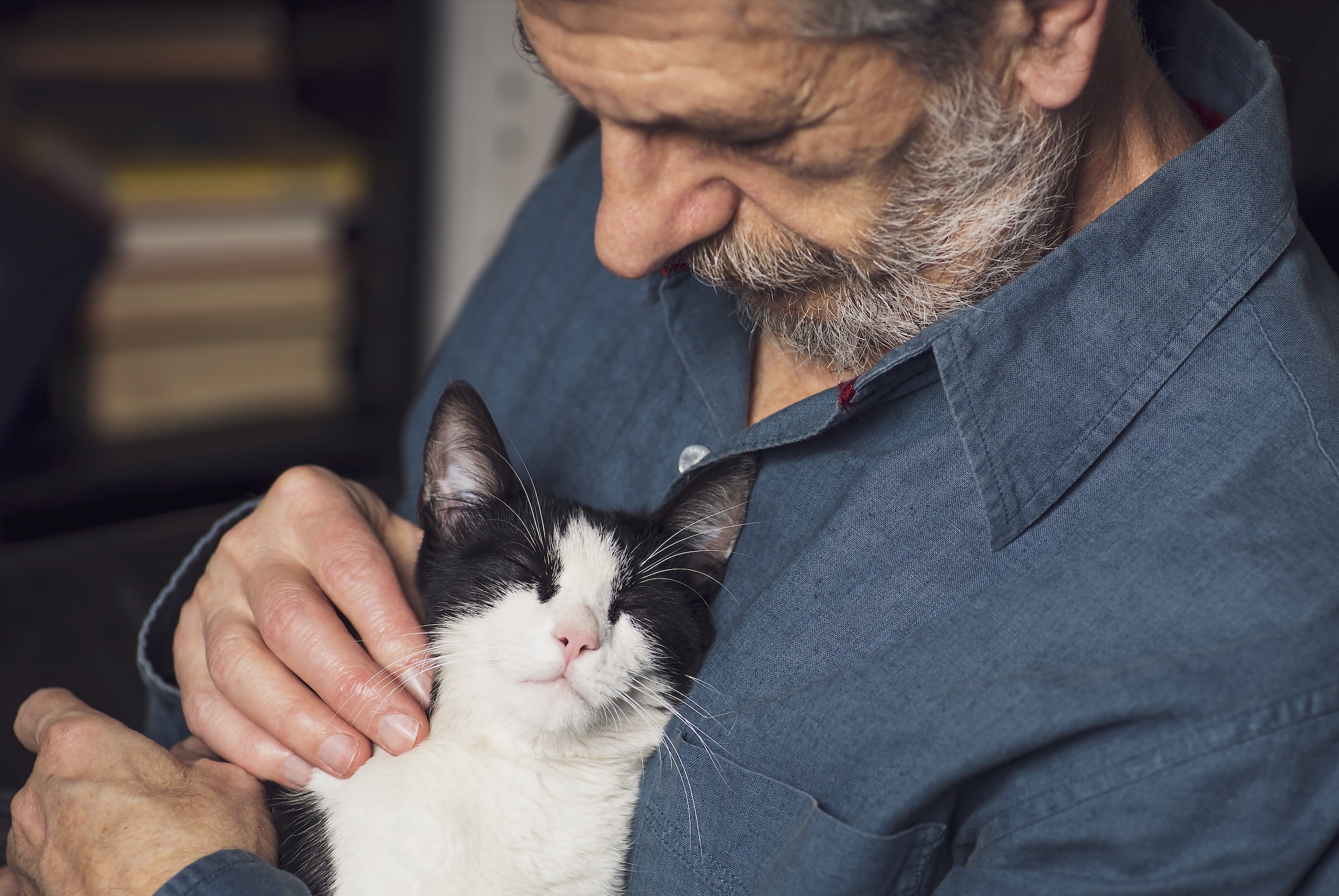 uomo con gatto in braccio