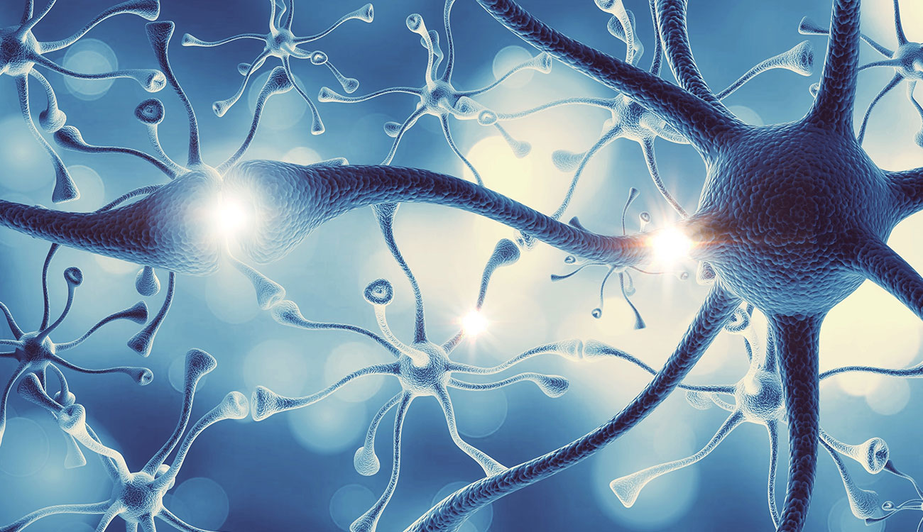 Neuroni con la corazza per combattere la sclerosi multipla